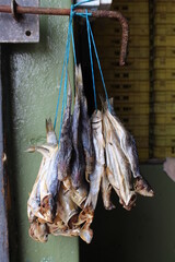 Close up of dried fish West Coast South Africa hanging in bunches