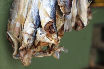 Close up of dried fish West Coast South Africa hanging in bunches
