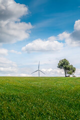 View of a wind farm, with tall wind turbines for electricity generation with copy space. Green energy concept.