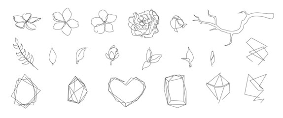 Vector line art stye set of flowers, leaves, branches and geometric shapes. Isolated on white background