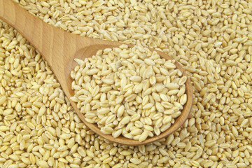 Wheat grains with wooden spoon close up.