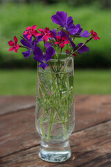 Bouquet of beautiful Flowers on a blurred natural green background. Purple violets and pink small Flowers in a transparent vase on a wooden table. Beautiful flowers in the garden in a transparent vase