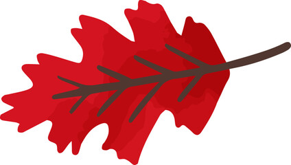 Autumn Oak Leaf Hand Drawn Illustration