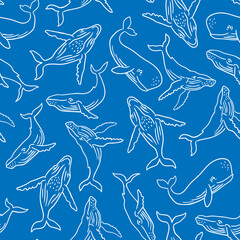 Whale seamless pattern in hand-drawn line style. Blue sperm whale repeat vector background.