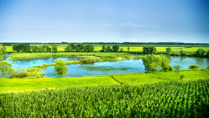 Obraz na płótnie Canvas Landscape with farm and pond