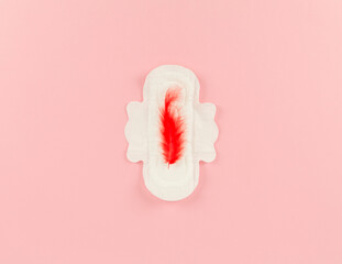 woman pad and red feather on pink background © noowans