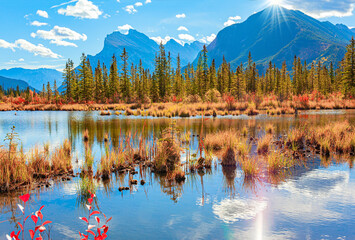 Magnificent golden autumn