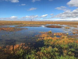 Lake and Yellow Grass of Autumn Prairie in Western China