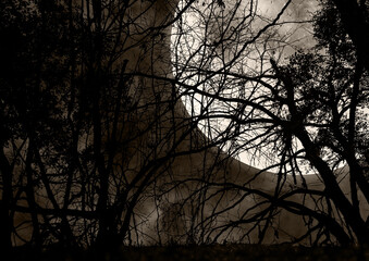 月の光に照らされるセピア色の森のイラスト