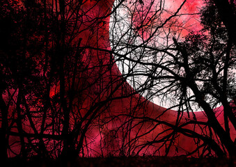 月の光に照らされる赤い森のイラスト