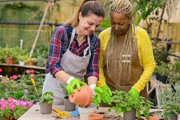 Multiracial gardeners working in hothouse together