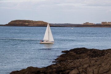 sailboat on the sea