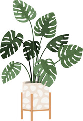Trendy House Plant in Pot Colored Illustartion