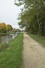 landscape with river and trees