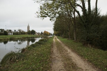 landscape with river and trees