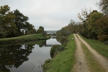 landscape with river and trees