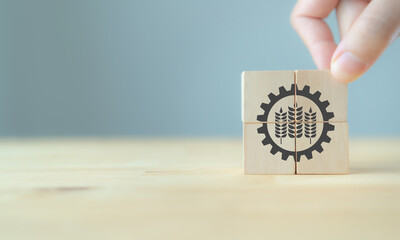 Industrial and agricultural concept..Productivity and quality management on mass scale. Hand puts...