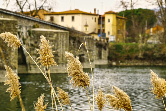 pennacchi e ponte