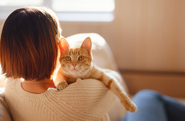 Young asian woman wears warm sweater resting with tabby cat on sofa at home one autumn day. Indoor...