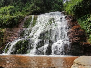 Obraz premium waterfall in the forest