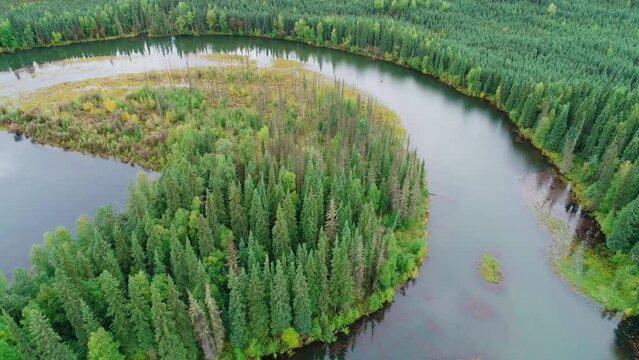 Slow forward drone flight over a boreal forest with river in central Alaska, USA