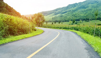 Road turning in the hills
