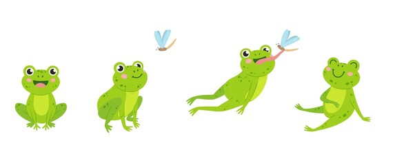 Funny frog. Animal jump to eat fly insect. Green cartoon isolated frogs, wildlife rules. Neoteric water swamp toad hunting and eating, catch with tongue vector scene