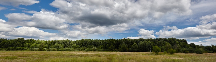 Panoramic photo of dense forest against the sky and meadows. Beautiful landscape of a row of trees and blue sky background