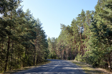 Fototapeta premium Asphalt winding country road near the forest. A bend road at rural Europe