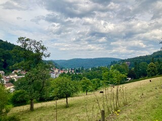 Schwarzwald