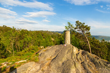 The forest on the Floyen hill. Bergen, Norway.