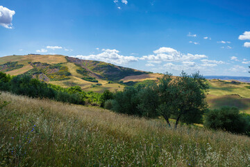 Rural landscape along the Cassia near Radicofani, Tuscany