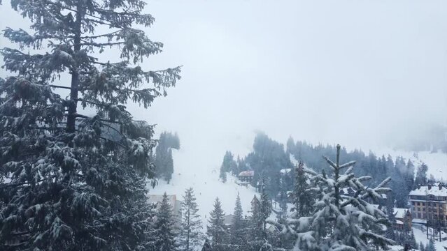 Winter Mountain Dragobrat. Aerial View. Carpatian. Ukraine