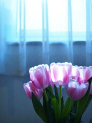 窓辺のチューリップ