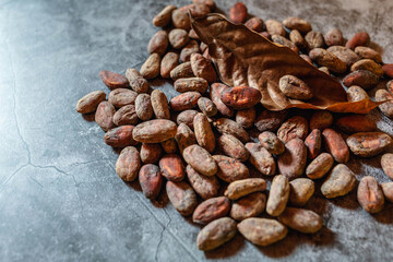 Brown dried cocoa beans on mortar surface