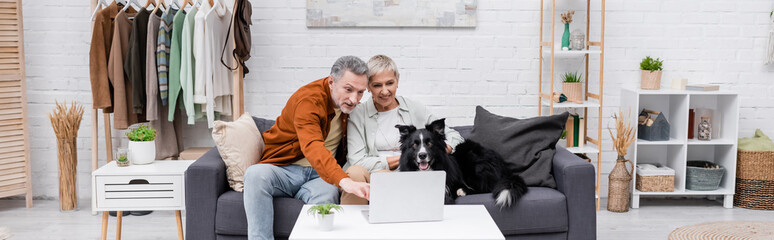Cheerful couple looking at laptop near border collie on couch in living room, banner.
