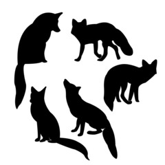 Isolated on a white background, a collection of fox vector silhouettes
