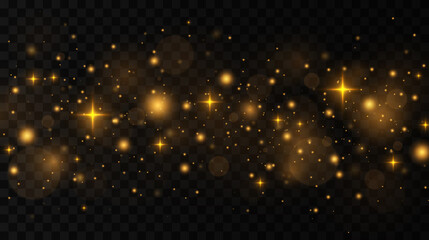 Obraz na płótnie Canvas Sparkling magical dust particles. The dust sparks and golden stars shine with special light on a black background. Christmas concept.