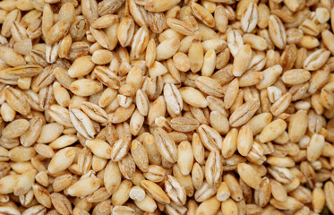 Barley groats texture background. High quality photo