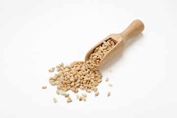 Barley groats in bowls and bags isolated on a white background. High quality photo