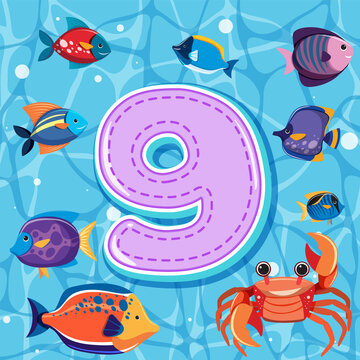 Number nine with sea animals © brgfx