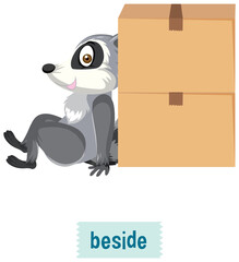 English prepositions, raccoon sitting beside boxes