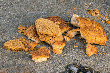 Pieces of dry bread lie on the concrete floor