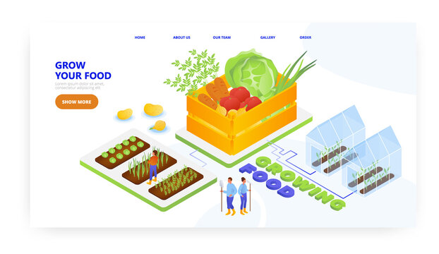 Healthy food, landing page design, website banner vector template. Farmers growing organic vegetables. Agriculture.
