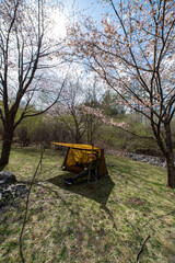 Tent set up at the campsite