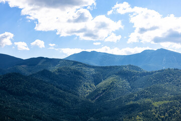 Beautiful mountain landscape with forest on sunny day. Drone photography