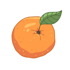 Orange with a leaf in cartoon style. Vector isolated illustration.