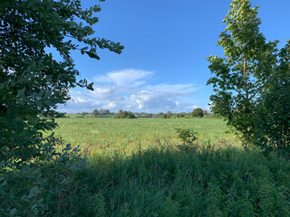 Ahrenshoop Zingst Wustrow Ostsee Strand Darss Fischland Zingst Mecklenburg-Vorpommern