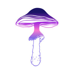 Magic mushrooms. Psychedelic hallucination. Gradient colorful vector illustration isolated on white. 60s trippy hippie art.
