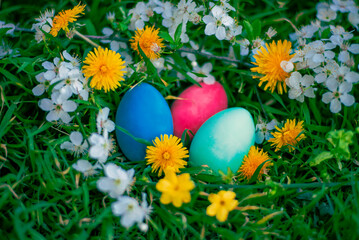Easter eggs outdoors.